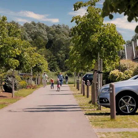 Blinkfueer * 诺德霍恩